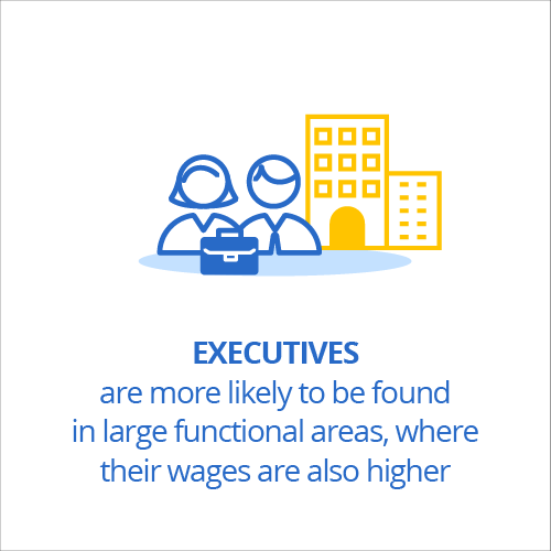 Executives are More Likely to be Found in Large Functional Areas, Where Their Wages are Also Higher