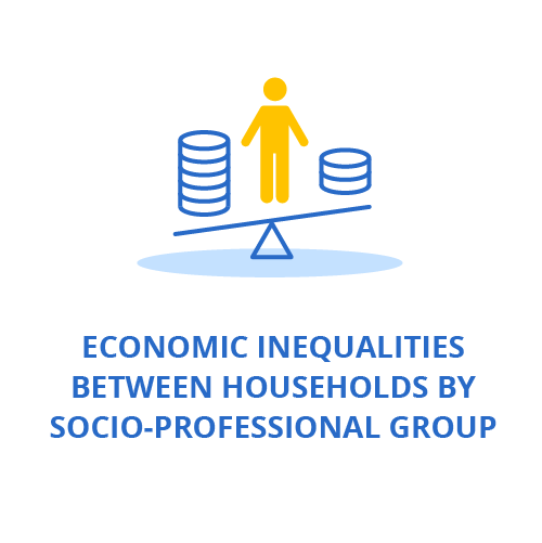 Economic inequalities between households by socio-professional group