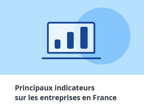 Principaux indicateurs sur les entreprises en France