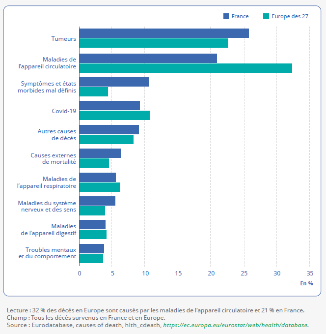 Cliquer pour agrandir