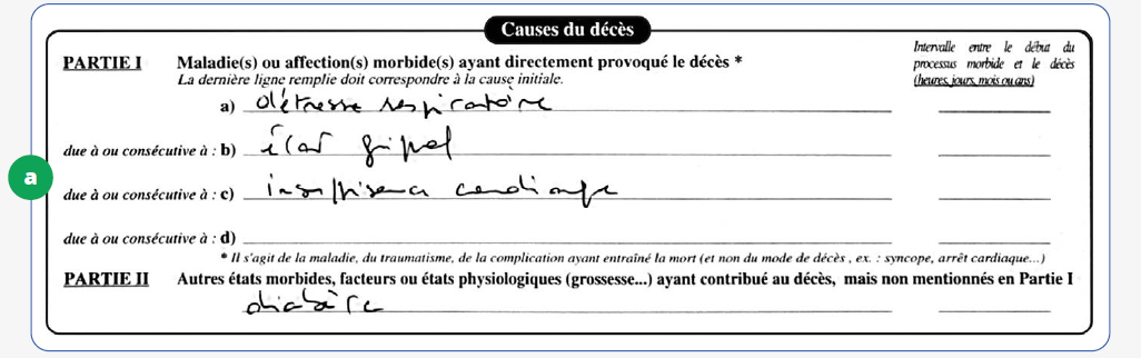 Cliquer pour agrandir