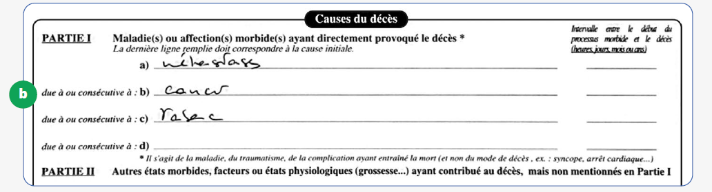 Cliquer pour agrandir