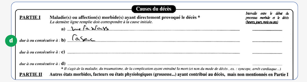 Cliquer pour agrandir