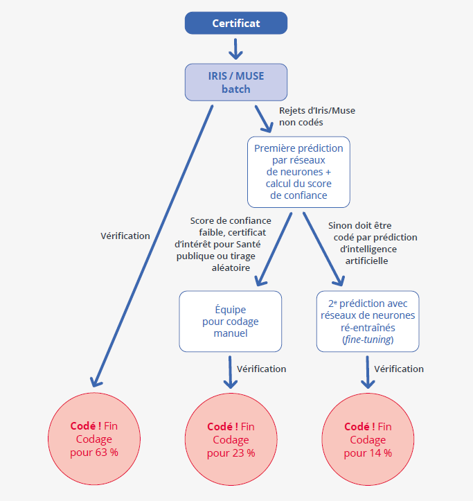 Cliquer pour agrandir
